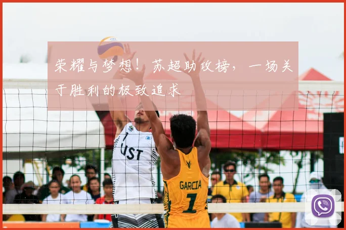 荣耀与梦想！苏超助攻榜，一场关于胜利的极致追求