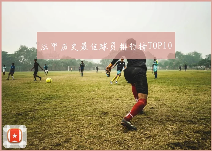 法甲历史最佳球员排行榜TOP10